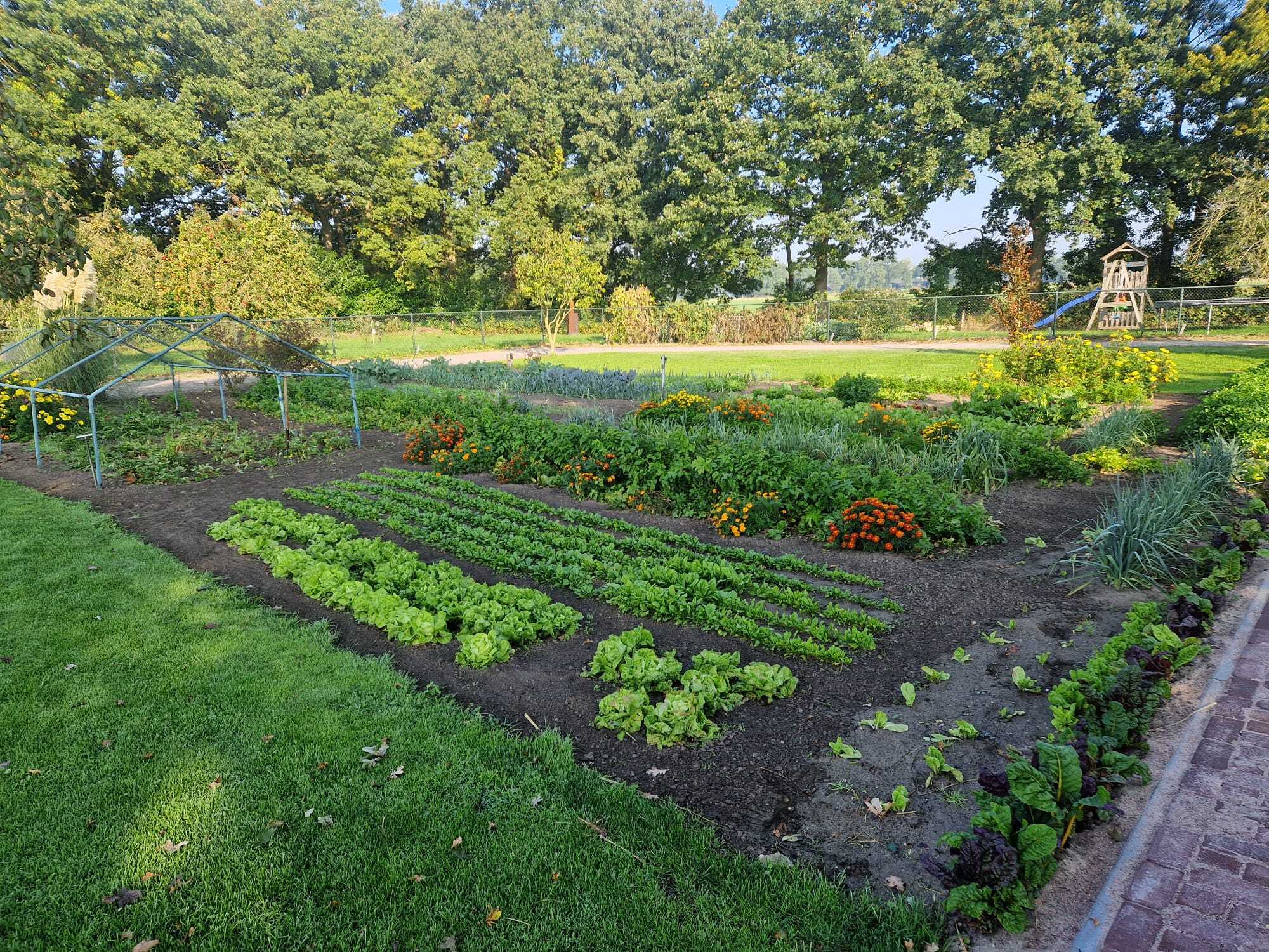 Groentetuin.jpeg